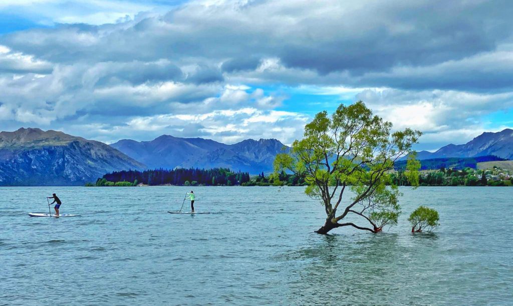 People Paddle Boarding on Lake Wanaka beside the Wanaka Tree, New Zealand