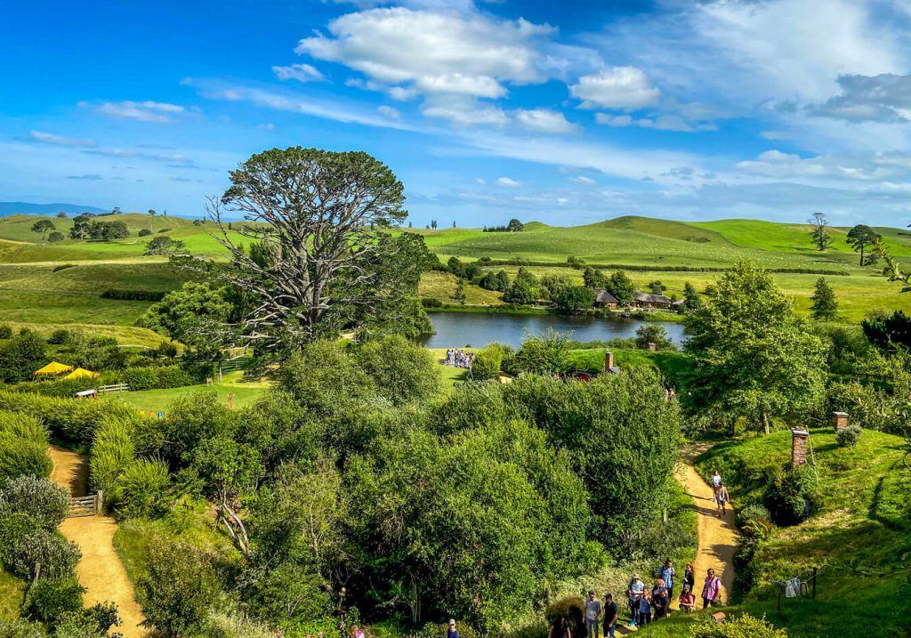 A view of the greenery from the hobbit holes at hobbiton