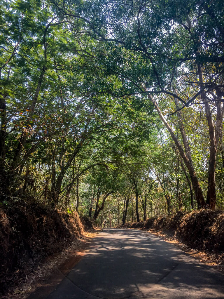 Narrow lane to Angoda Beach in Goa, India