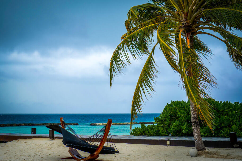 Maldives Holiday Island - Hammock and Palm Tree on Beach