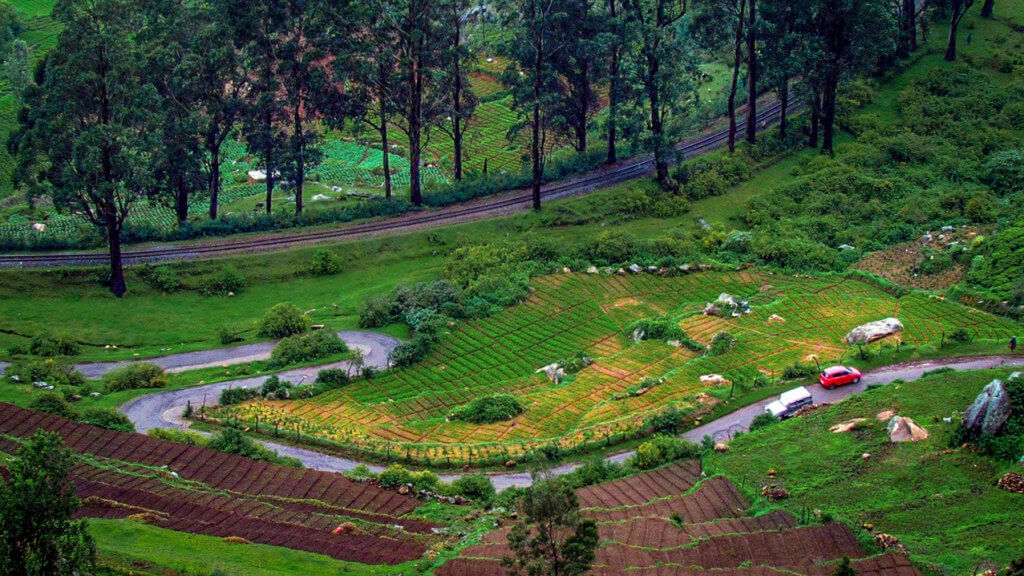 Lush Ooty is one of the best destinations to celebrate summer holidays in India