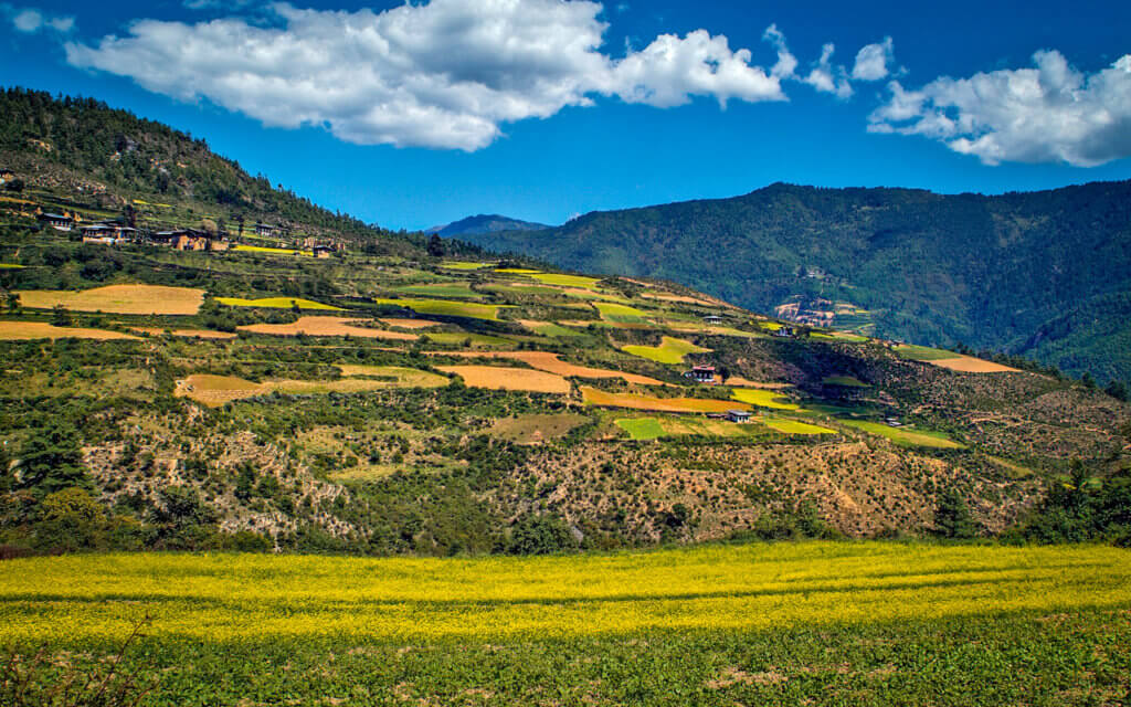 Haa Valley is a super beautiful place to visit in Bhutan. Look at all this greenery