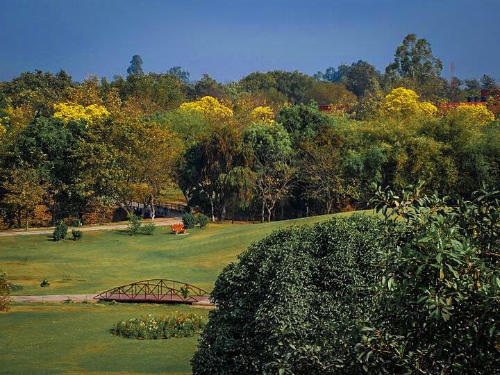 Garden in Chandigarh- One of the best option for weekend getaways from Delhi