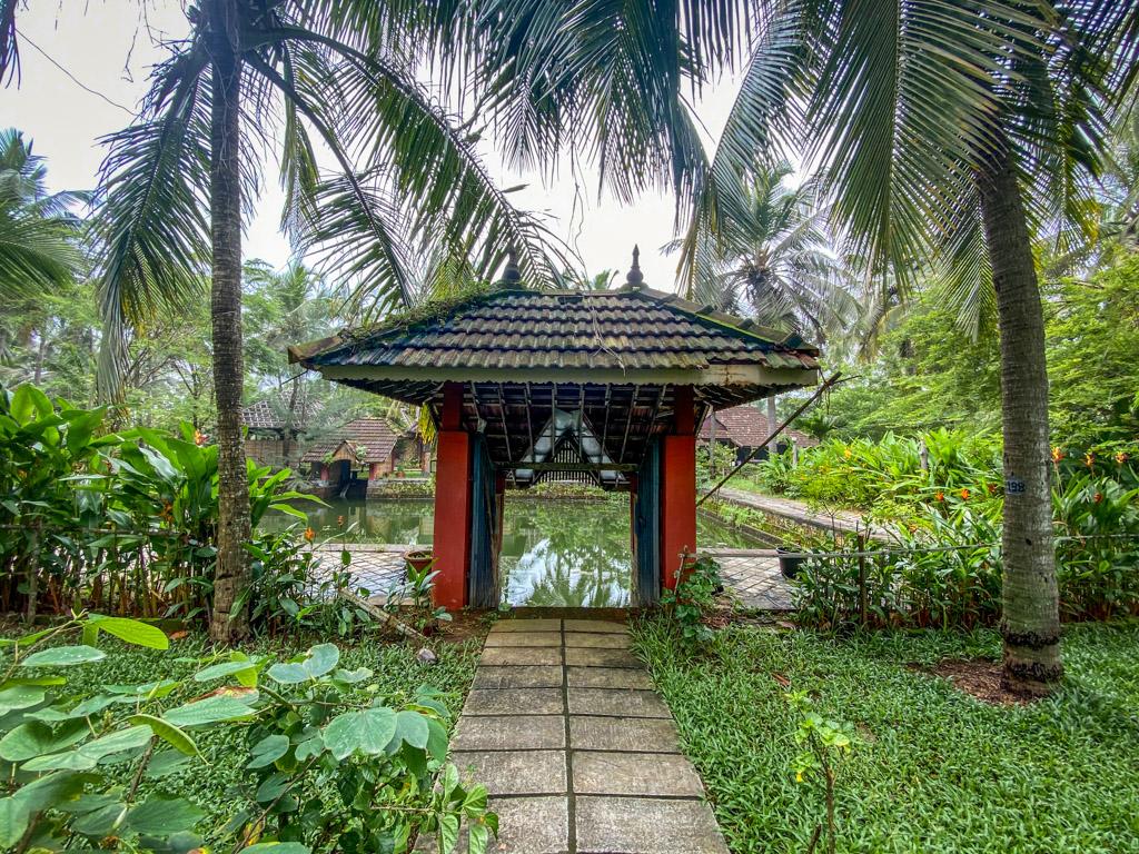 Water harvesting tank designed so beautifully at this eco-conscious Ayurveda resort in Kerala