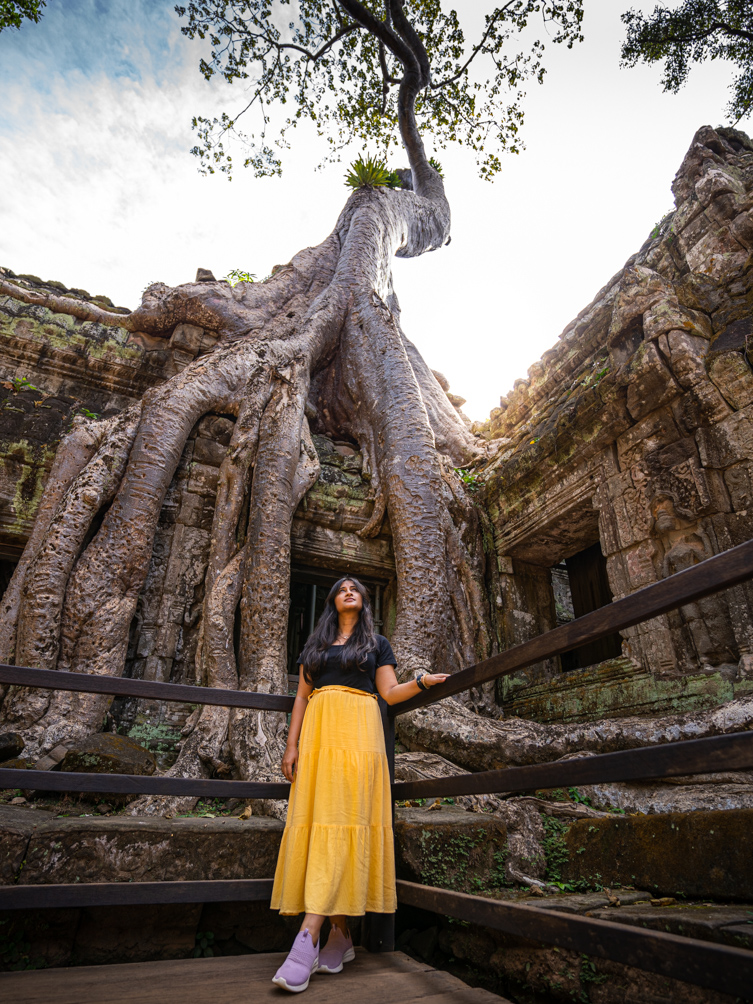 Giant tree roots at Ta Prohm Temple