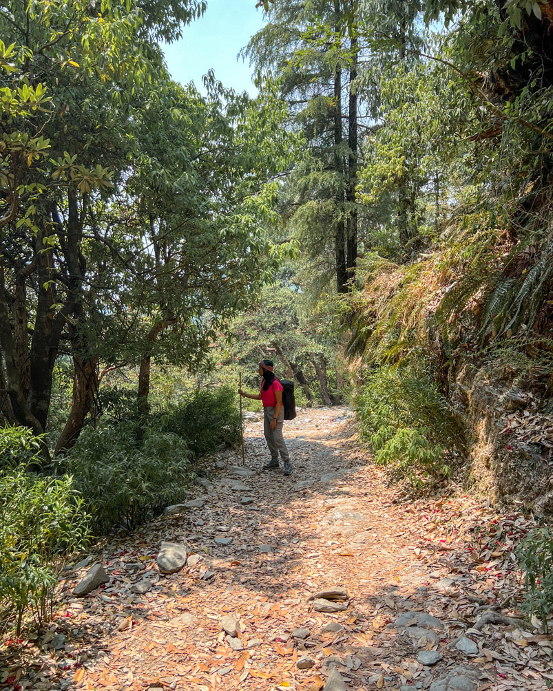 Start of the trail to Triund via Gallu Devi Temple