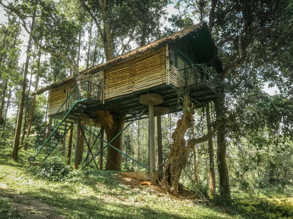 Tree House at Gorukana Wellness Retreat