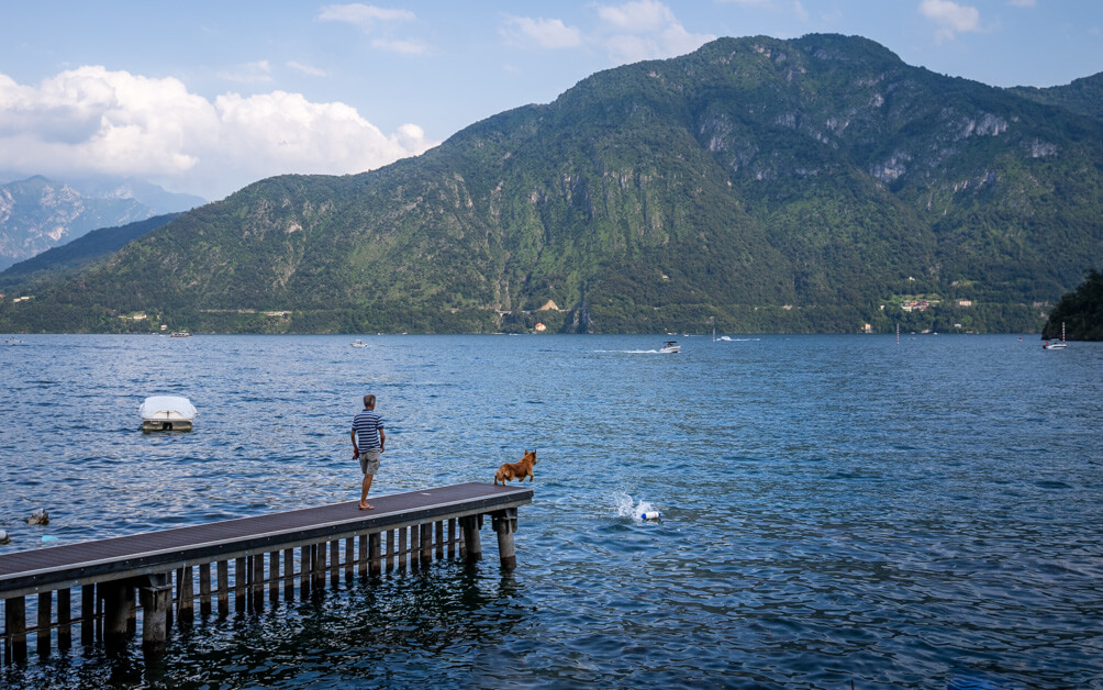 Dog jumping in the water in Lenno