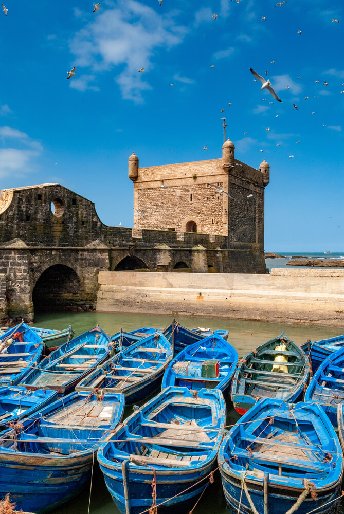 Picture perfect view of blue boats and fortification in Essaouira