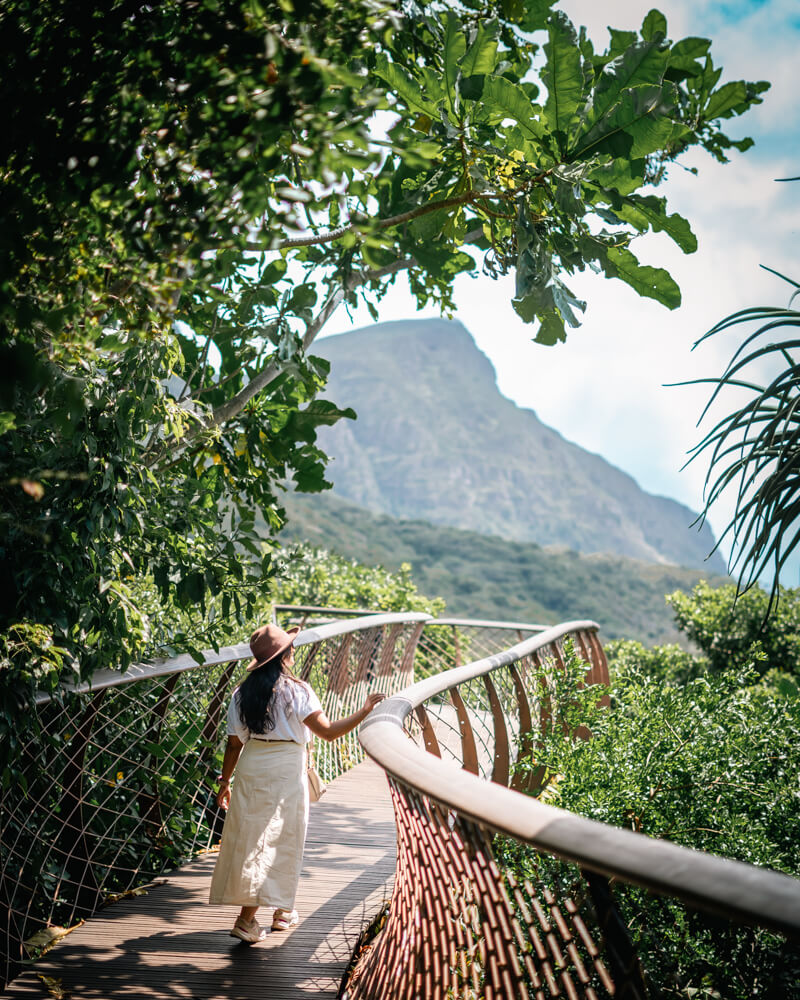 A woman in a wide-brimmed hat walks along a curvy wooden bridge surrounded by lush greenery and a mountain backdrop at Kirstenbosch Botanical Gardens