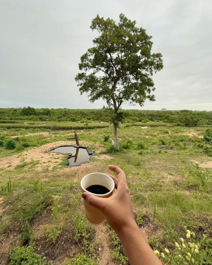 Kruger National Park Itinerary: Plan a Trip for Any Budget 15 A girl witha coffee in hand showing the panoramic view of the Kruger landscape from a luxury hotel