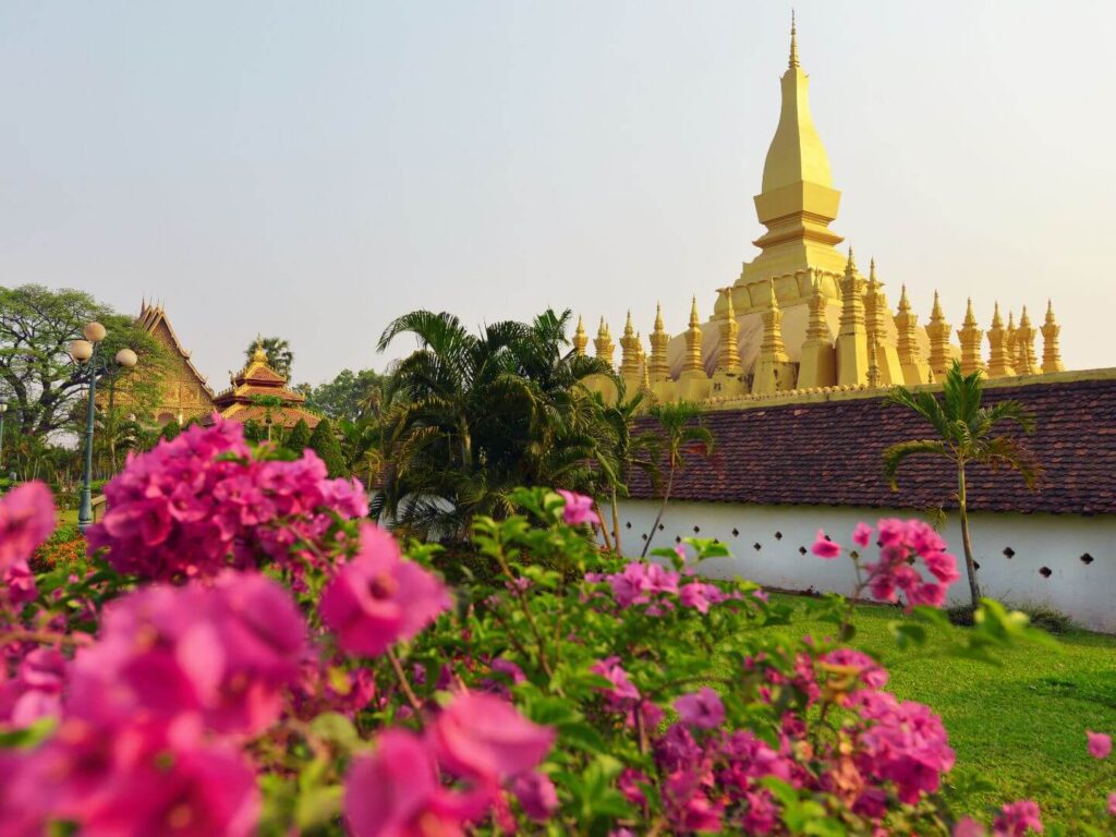 The Only Laos Itinerary You Need for 1 Week in Laos 7 The Golden Stupa at Pha That Luang with some pink flowers in the foreground