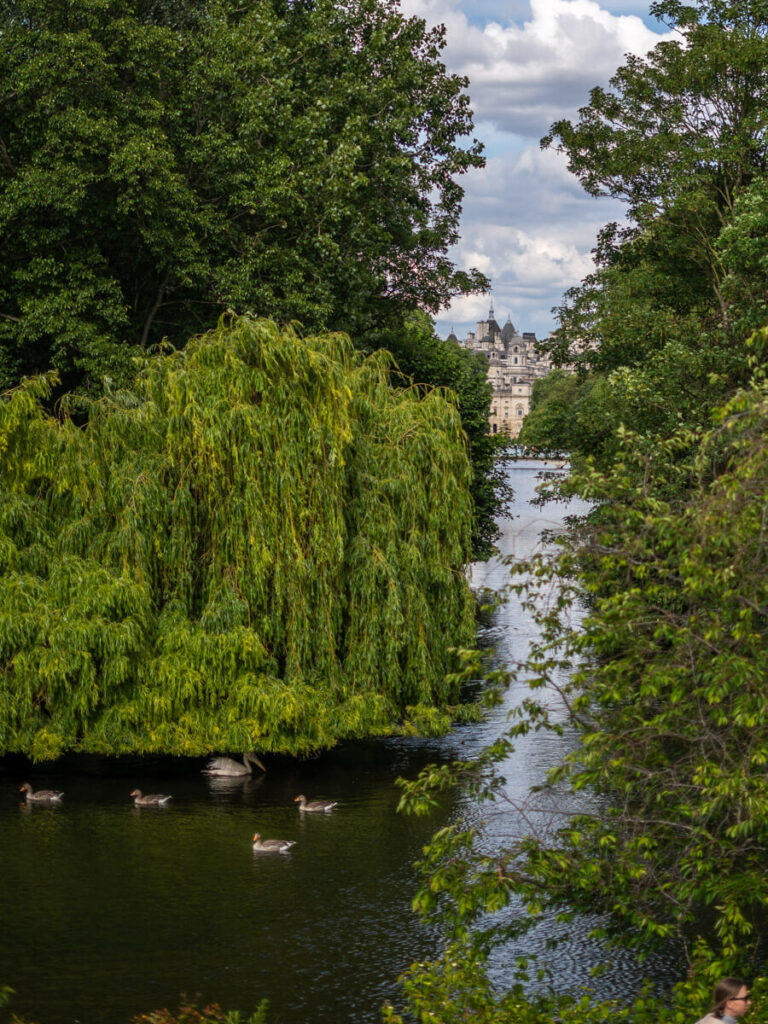 4-Day London Itinerary: Best of London + Easy Walking Routes 6 A view across St James's Park with greenery, ducks, pelicans and a palace in the background.