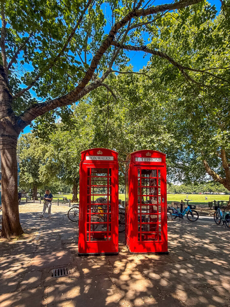 Two classic red British telephone boxes on a shaded, tree-lined path in London, with bicycles parked nearby and a park visible in the background.